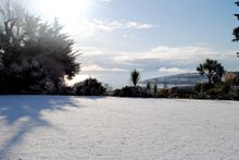 Winter at The Rosevine