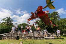Guacamayas en Xcaret