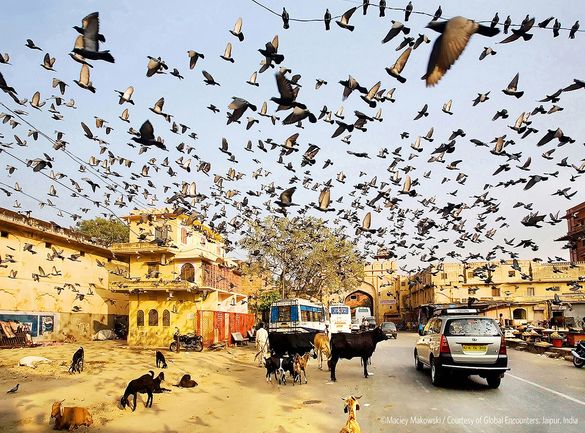 Maciey Makowski; courtesy of Global Encounters. Photo taken in Jaipur India