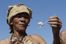 San medicine woman holding the cocoon of a Praying Mantis which they wear as a necklace to help with heart palpitations.
