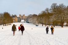 Royal Windsor - the long walk covered in snow