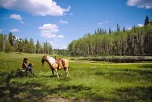 Ranching & Grizzly Adventure