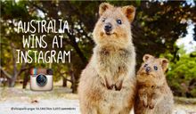 Tourism Australia is celebrating achieving more than a million followers of its @Australia Instagram account