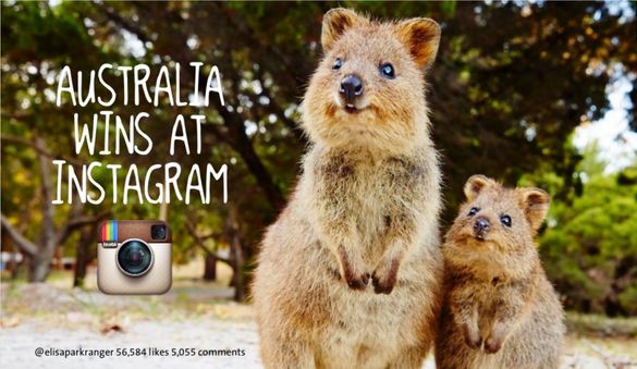 Tourism Australia is celebrating achieving more than a million followers of its @Australia Instagram account Tourism Australia is celebrating achieving more than a million followers of its @Australia Instagram account