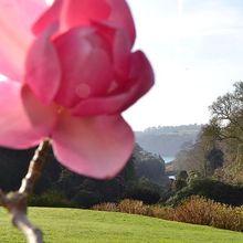 Trebah Garden, Falmouth  