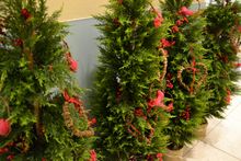 Radisson Blu Hotel Sydney Christmas Decorations