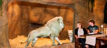 The Jamala Wildlife Lodge at the National Zoo & Aquarium, Canberra