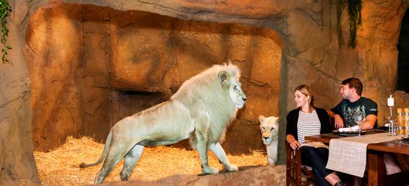 The Jamala Wildlife Lodge at the National Zoo & Aquarium, Canberra