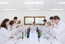 make your own blend tour, penfolds, barossa, south australia