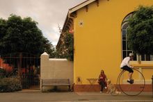 Penny farthing bicycle Evandale