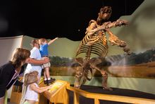 Giant ground sloth discovered right in Daytona Beach!