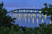 Halifax River oysters are a local fave!