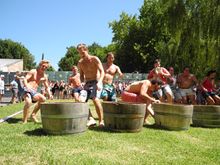 Delheim Harvest Celebration