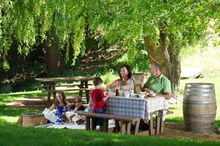 Delheim Picnic area