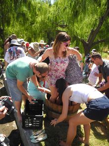 Delheim Harvest Celebration