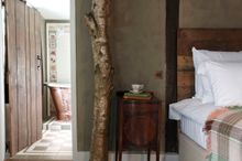 Moon Wild - room