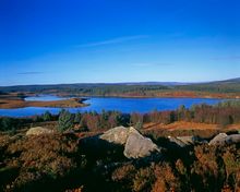 Kielder Water & Forest Park