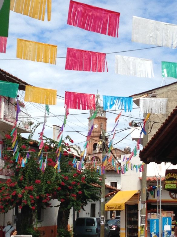 2014 Set to Become One of the Best Years On Record for Puerto Vallarta's Tourism Industry