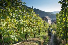 Moselle Valley, Inntravel