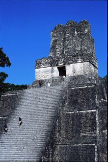 Jungle Maya pyramid in Tikal, Guatemala 
