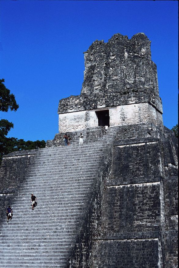 Jungle Maya pyramid in Tikal, Guatemala 