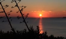 Sunset from the Garden