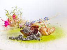 WHISK’s Valentine's Menu features exotic essences and blossoms, as Oxalis Béarnaise with Squid and Salted Carrots