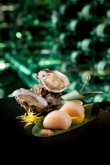 Ocean of Love - sweet scallop sashimi and fresh oysters at Yamm
