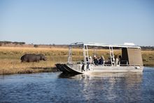 Up close game viewing on the Chobe River.