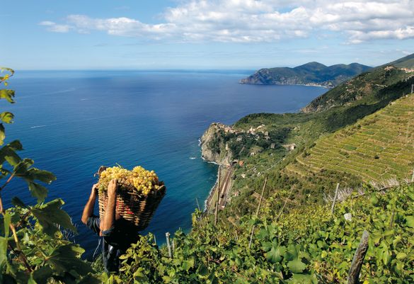 Sciacchetrail Cinque Terre