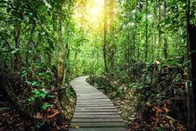 Malaysian Borneo