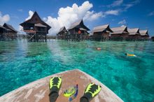 Diving, Borneo, Malaysia