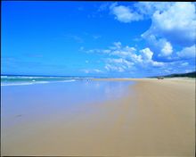 K'gari\'s famous 75-Mile Beach.  