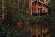 Woodlands Rainforest Retreat