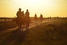 A dawn start for riders on The Long Paddock Cattle Drive