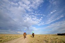 Just like in the movies. Riders head off into the sunset after a day of droving