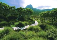 Overland Track, TAS
