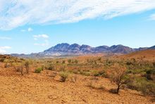 Flinders Ranges, SA