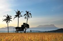 Borneo, Malaysia