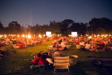 Spier wine farm