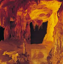 Fossils and caves in Naracoorte Caves National Park, South Australia