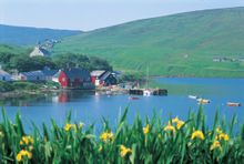 Shetland