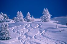 Perfect powder in La Plagne