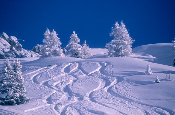 Perfect powder in La Plagne