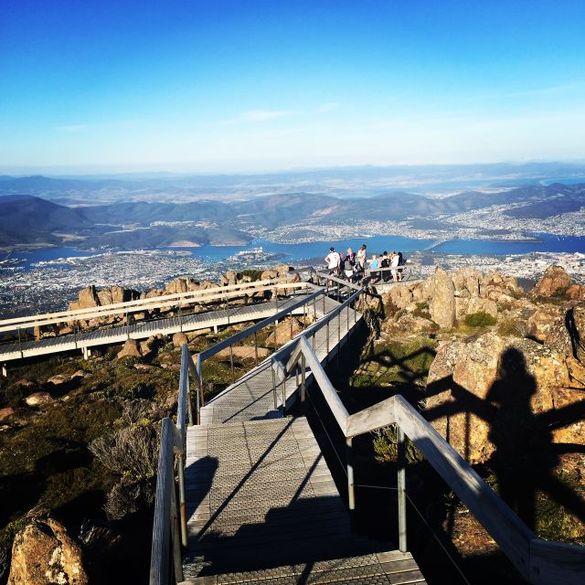 View from the top - Mount Wellington