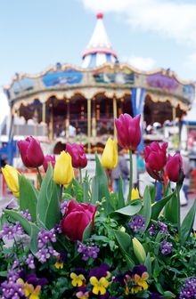 Tulipmania at PIER 39