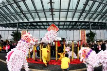 Lion Dance Performance 舞獅表演