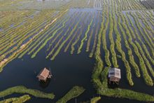 Inle Lake from the Balloon