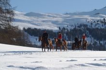 A gentle horse ride in Livigno