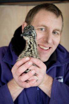 Head Keeper Alistair Keen and Emu Chick
